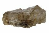 Rutile Crystals in Smoky Quartz - Brazil #172991-2